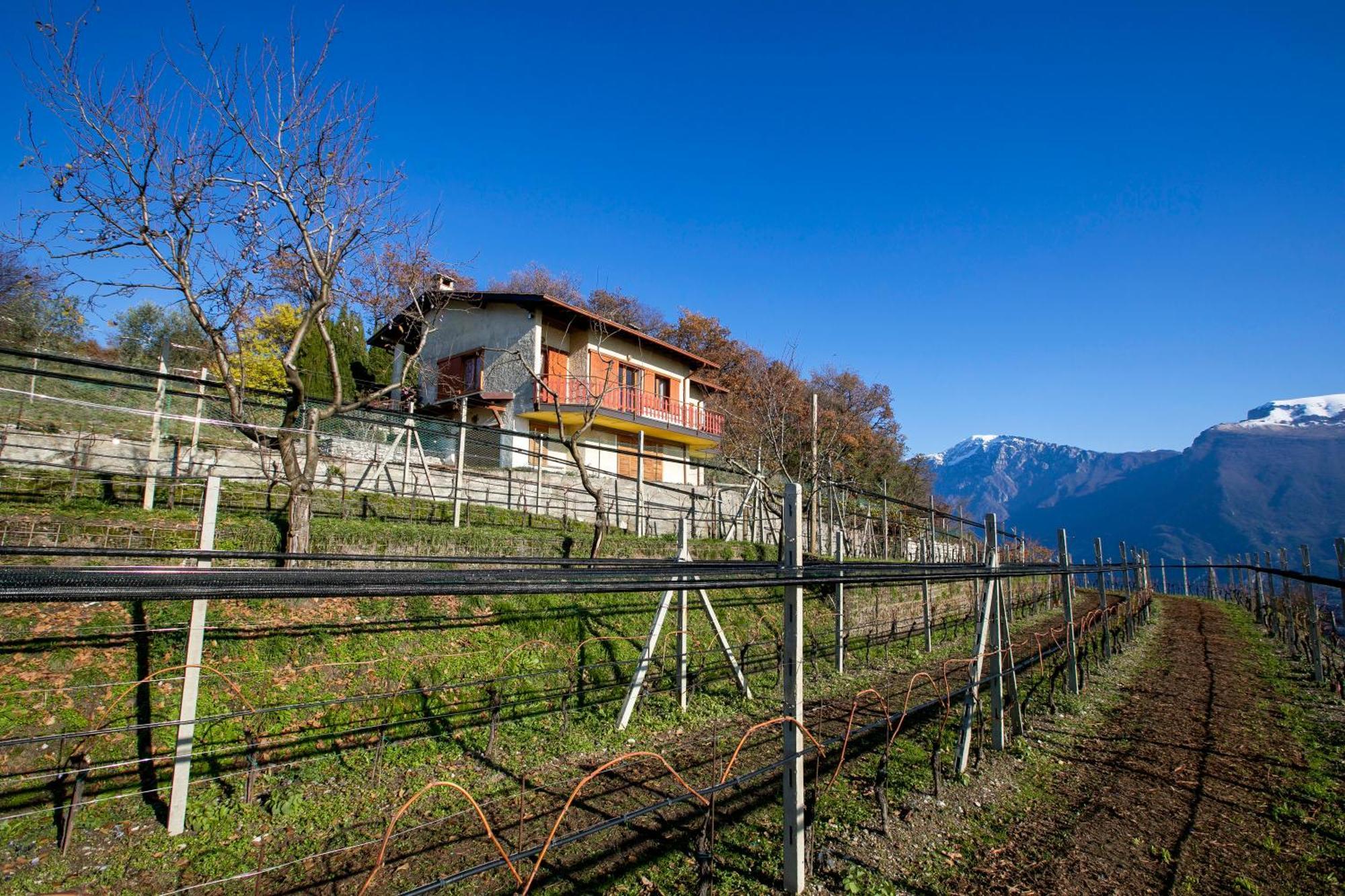Balcone Panoramico Sul Garda - Happy Rentals Tremosine Εξωτερικό φωτογραφία